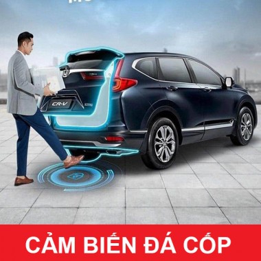Cảm biến đá cốp
