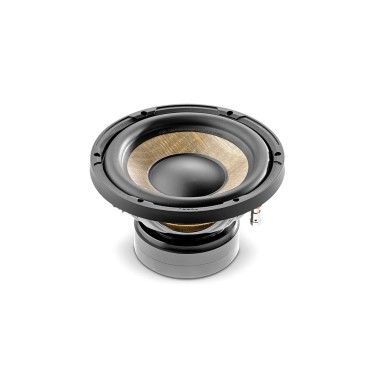 FOCAL P 20 F
